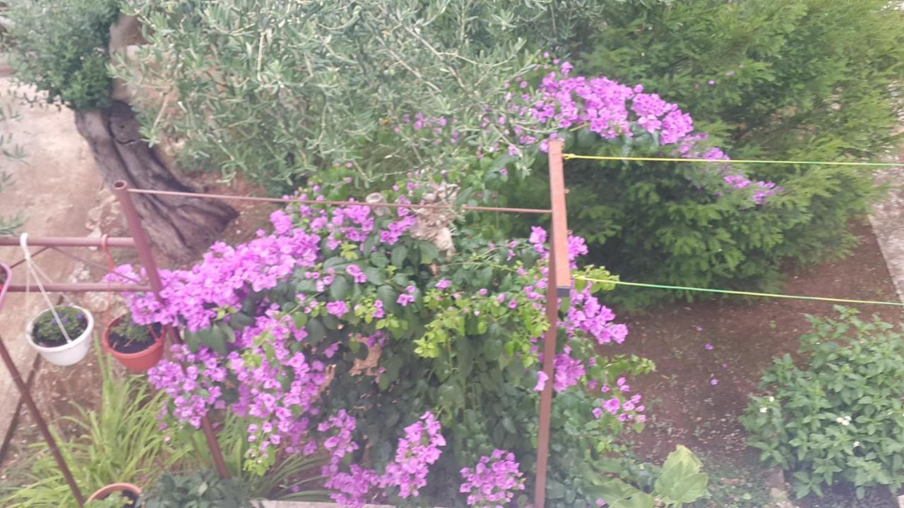 Apartmani A1 Marina, Okrug Gornji Trogir Extérieur photo