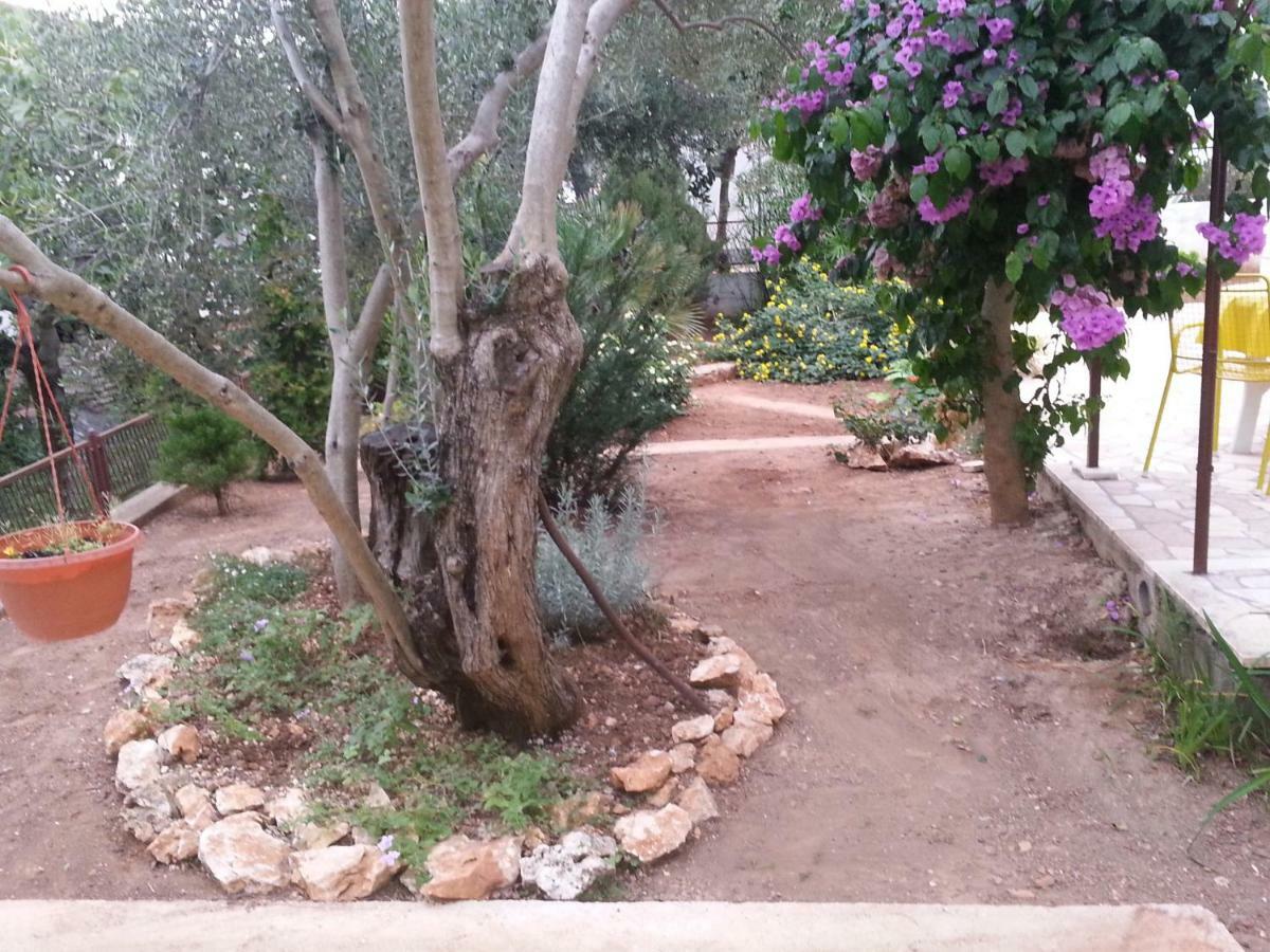Apartmani A1 Marina, Okrug Gornji Trogir Extérieur photo